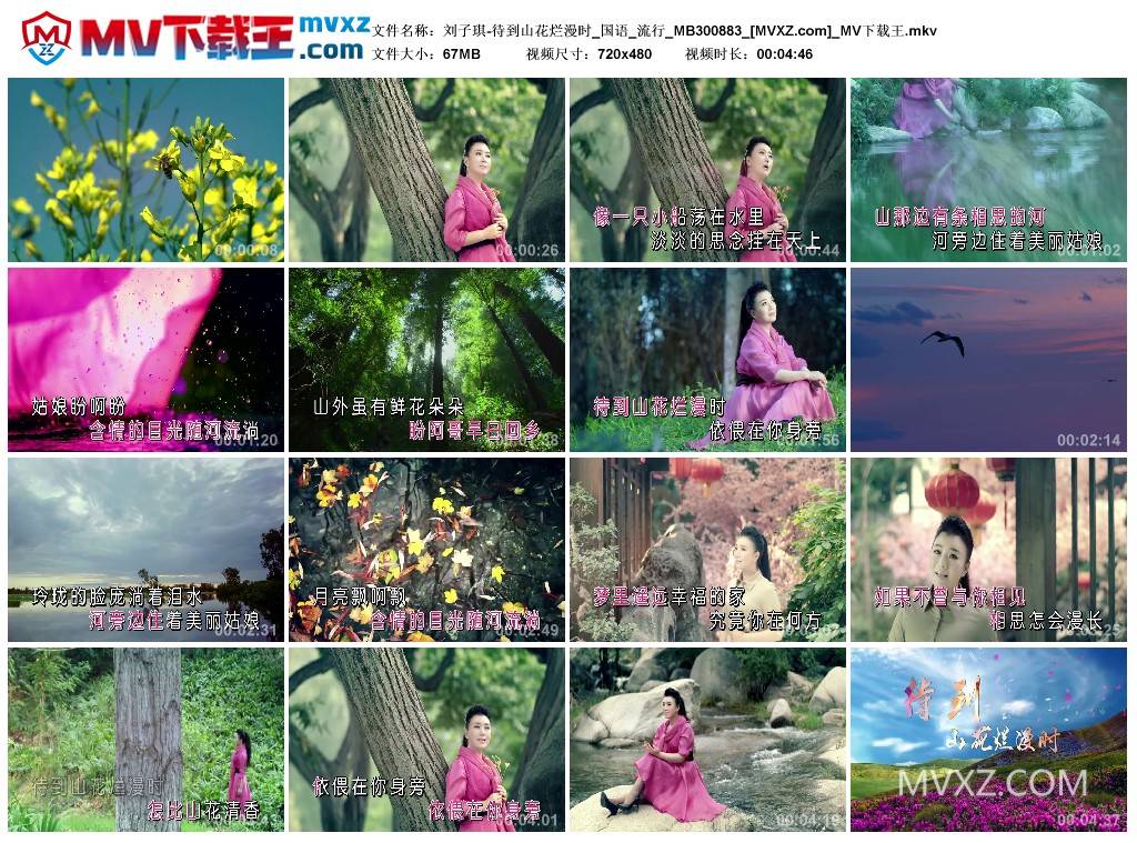 刘子琪-待到山花烂漫时_国语_流行_MB300883